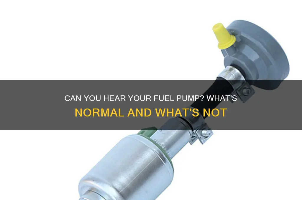 should i be able to hear my fuel pump