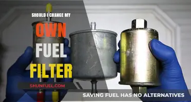 Fuel Filter Change: DIY or Not?