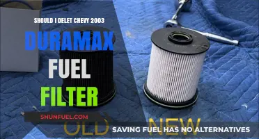 Chevy Duramax Fuel Filter: To Delete or Not?