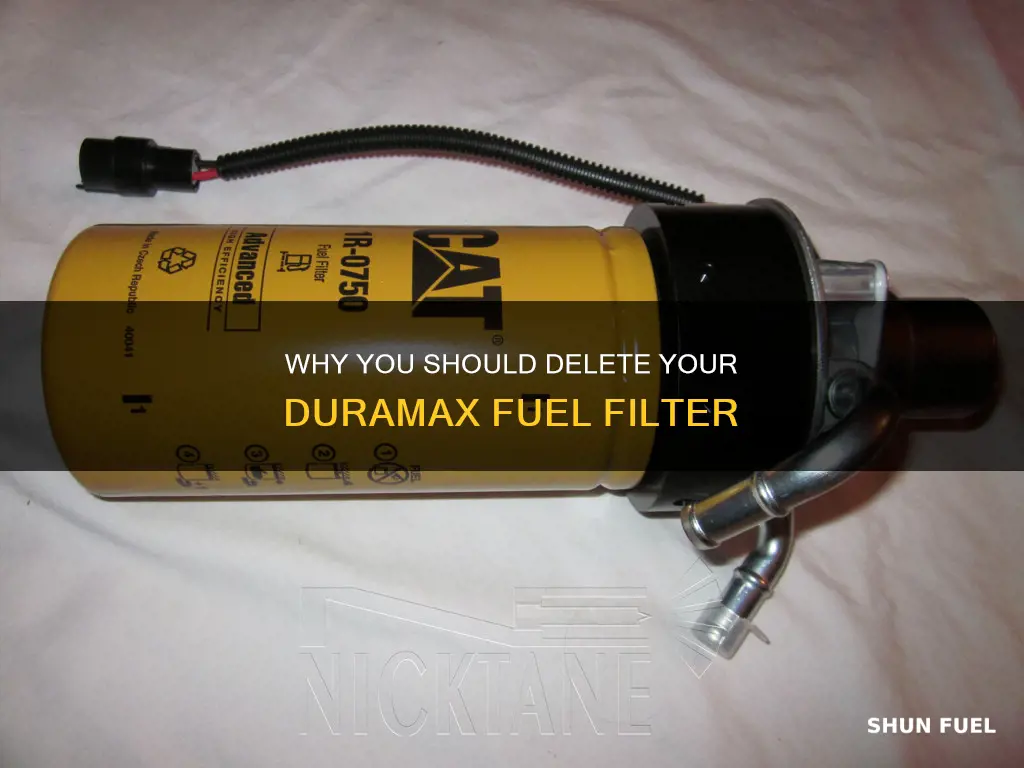 should i delete fuel filter duramax