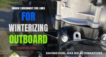 Winterizing Outboard: Disconnecting Fuel Lines, Necessary?