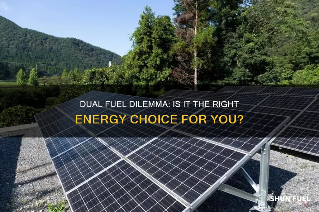 should i get duel fuel