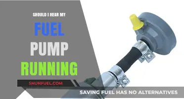 Should You Hear Your Fuel Pump Running? Signs and Solutions