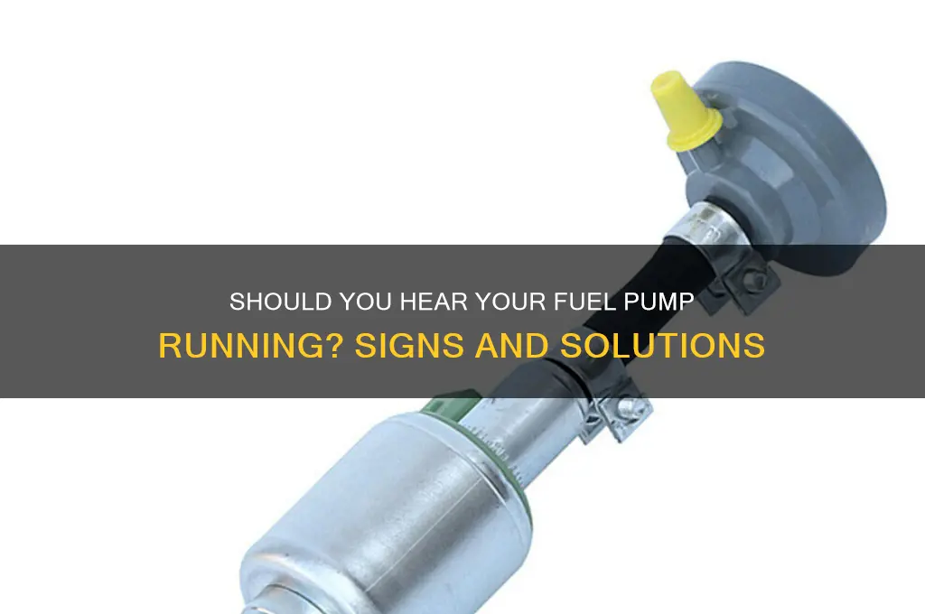 should i hear my fuel pump running