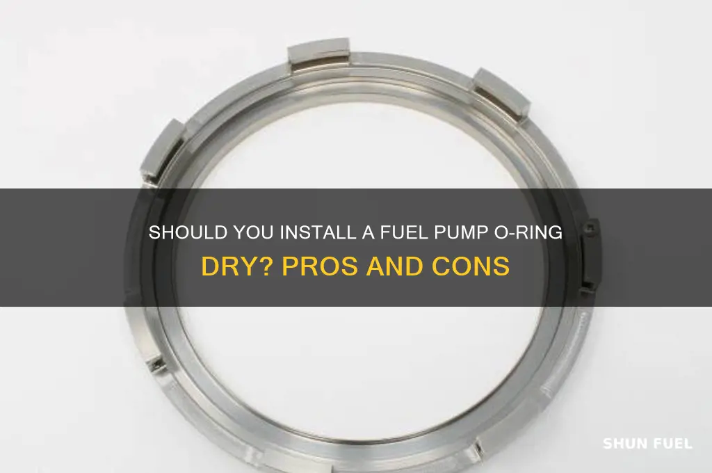 should i install fuel pump o ring dry