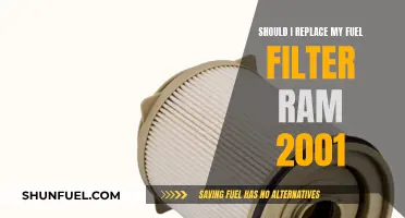 Fuel Filter Replacement for Your Ram 2001: When and Why?