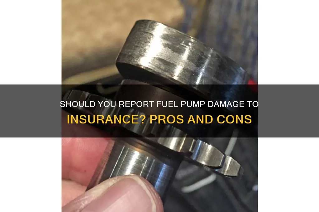 should i report fuel pump to insurance