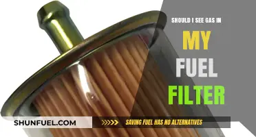 Fuel Filter Gas: What to Do?