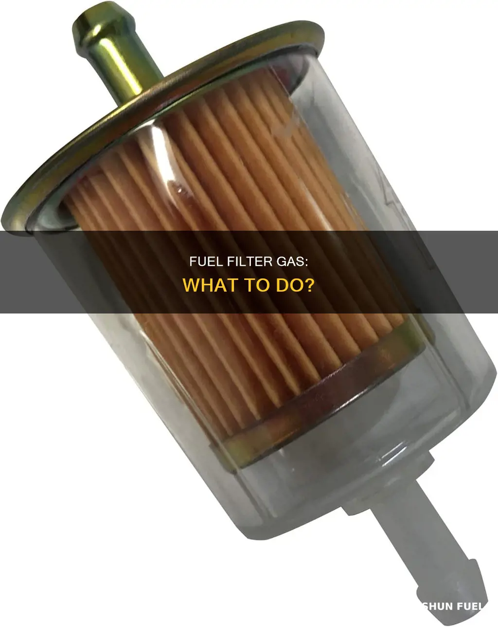 should i see gas in my fuel filter