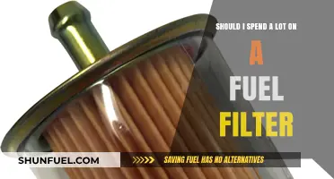 Fuel Filter Spending: Is It Worth the Cost?