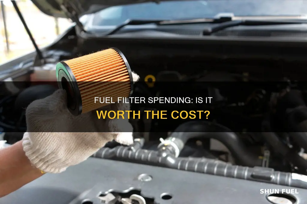 should i spend a lot on a fuel filter