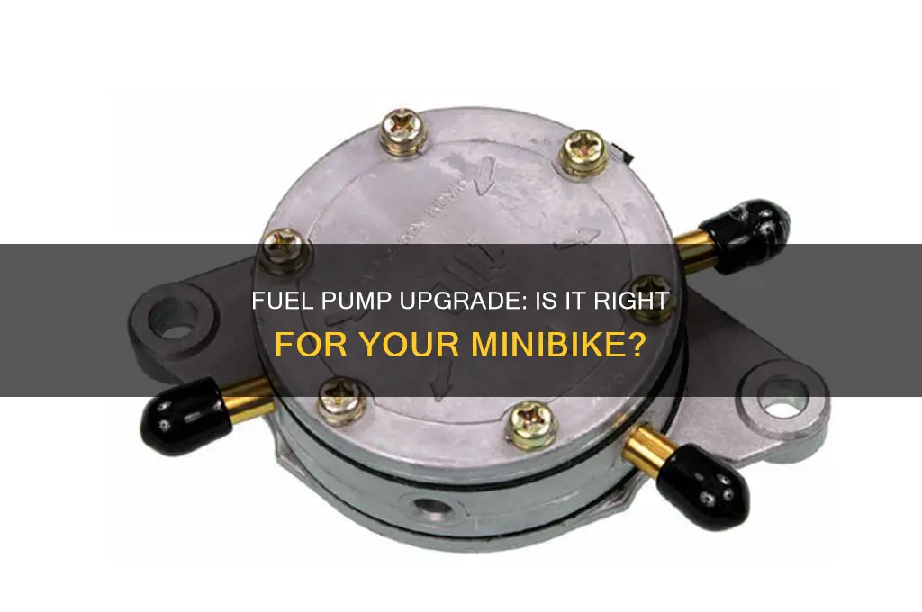 should i use a fuel pump on my minibike