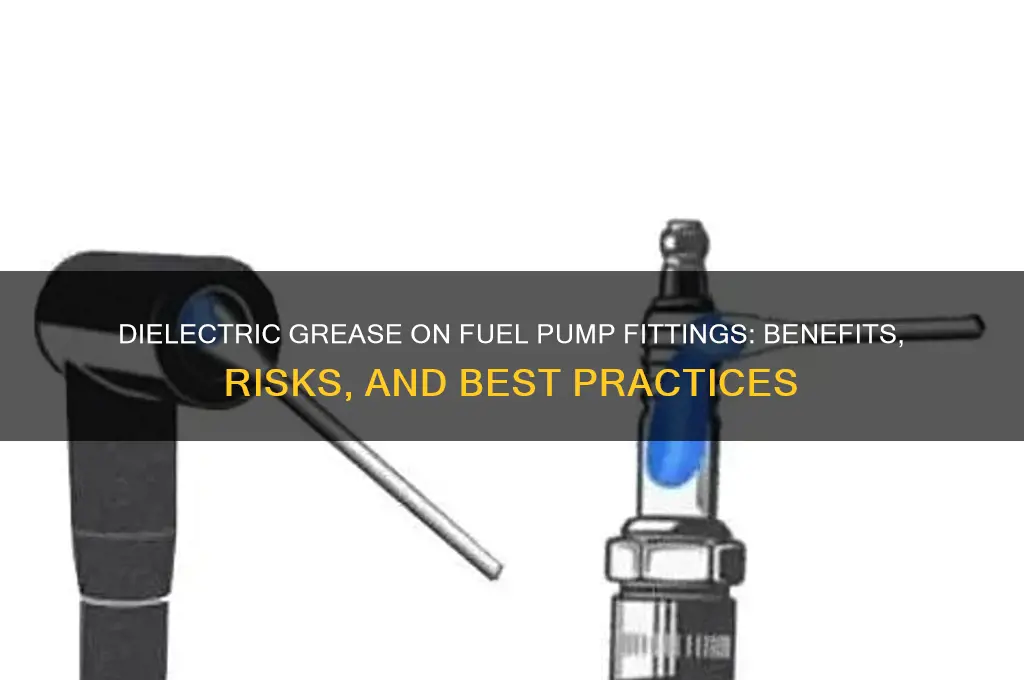 should i use dielectric grease on fuel pump fittings