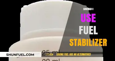 Fuel Stabilizer: Essential or Optional for Long-Term Storage?