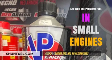 Premium Fuel in Small Engines: Worth the Cost or Waste?