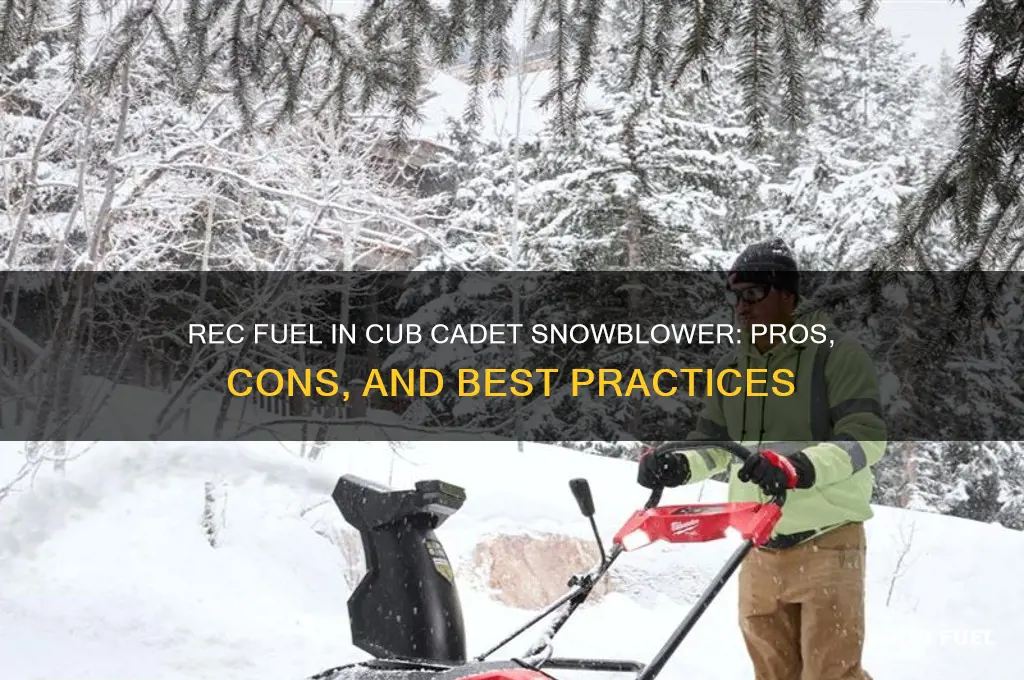 should i use rec fuel in a cub cadet snowblower