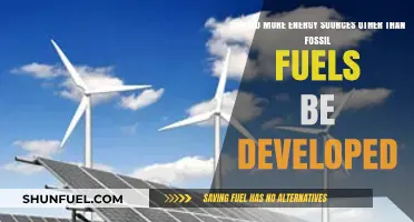 Beyond Fossil Fuels: Exploring Sustainable Energy Alternatives for a Greener Future