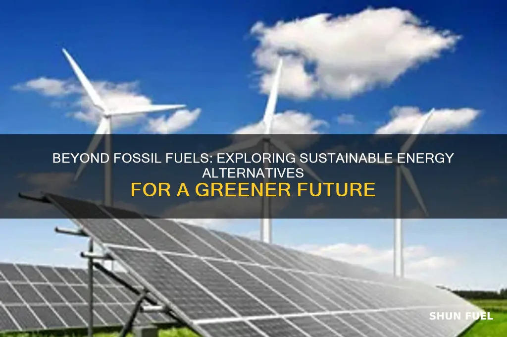 should more energy sources other than fossil fuels be developed