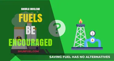 Encouraging Nuclear Fuels: A Sustainable Energy Solution or Risky Venture?