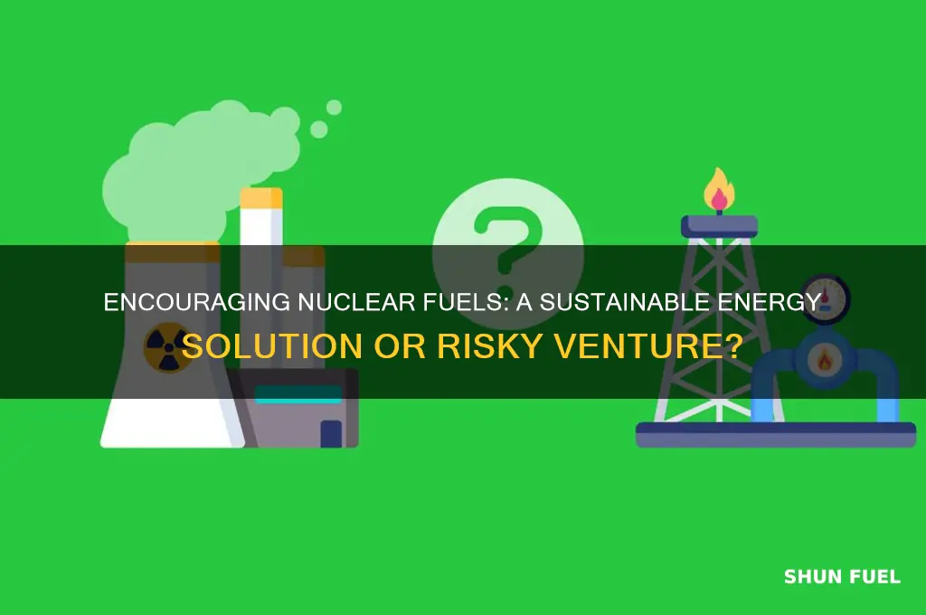 should nuclear fuels be encouraged