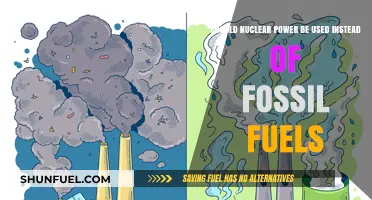 Nuclear Power vs. Fossil Fuels: A Sustainable Energy Alternative?