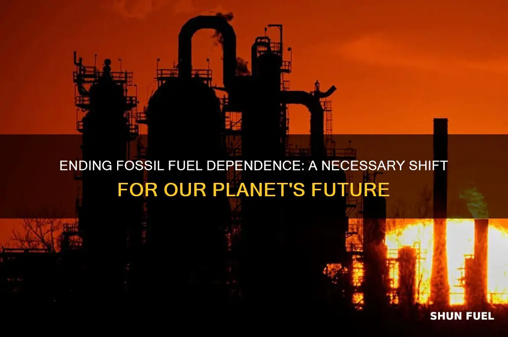 should people stop using fosil fuel