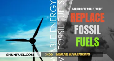 Renewable Energy: A Sustainable Future Beyond Fossil Fuels?