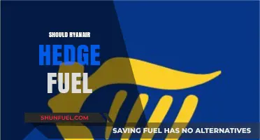 Should Ryanair Hedge Fuel Costs to Ensure Long-Term Profitability?