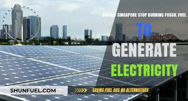 Should Singapore Ditch Fossil Fuels for a Greener Energy Future?