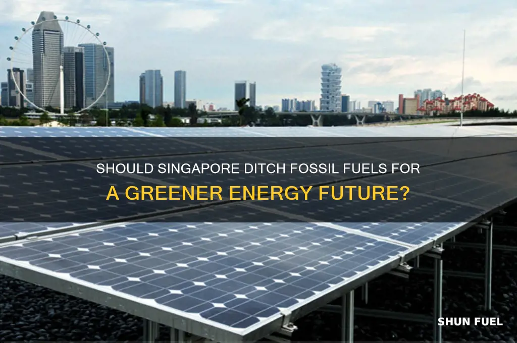 should singapore stop burning fossil fuel to generate electricity
