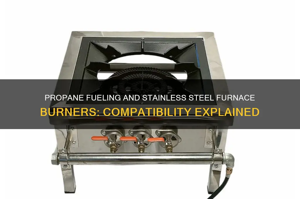 should stainless steel furnace burners be used with propane fueling