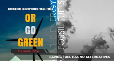 Fossil Fuels vs. Green Energy: America's Urgent Choice for a Sustainable Future