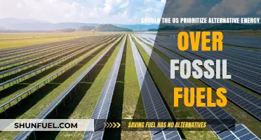 Why the US Must Shift to Alternative Energy Now