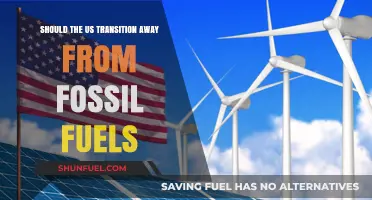 Transitioning Beyond Fossil Fuels: A Sustainable Future for the US?