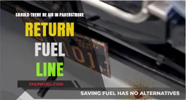 Air in Paperstroke Return Fuel Line: A Cause for Concern?