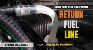 Air in Fuel Lines: Good or Bad?