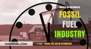 Nationalizing Fossil Fuels: A Path to Sustainability or Economic Risk?