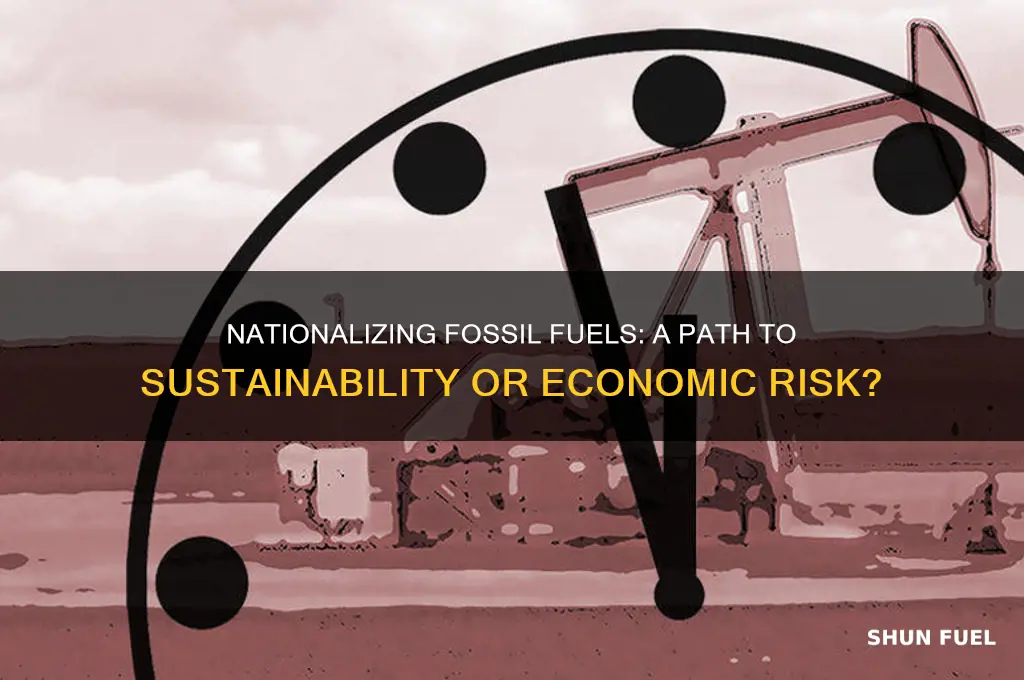 should us nationalize fossil fuel industry
