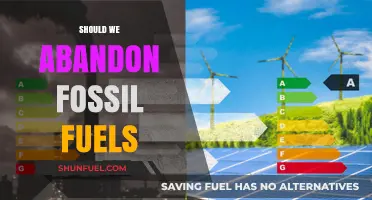Abandoning Fossil Fuels: A Necessary Shift or Premature Move?