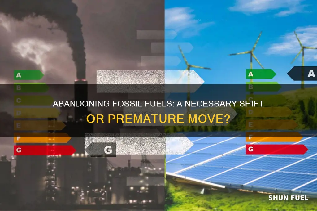 should we abandon fossil fuels