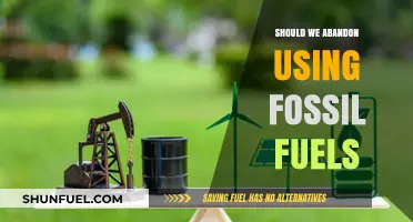 Ending Fossil Fuel Dependence: A Necessary Shift for Our Planet's Future
