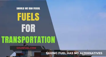 Ending Fossil Fuels in Transportation: A Necessary Shift or Misstep?