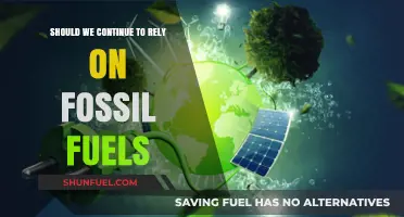 Fossil Fuels: Sustainable Future or Outdated Energy Reliance?