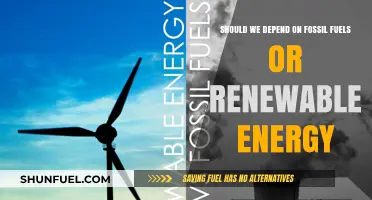 Fossil Fuels vs. Renewables: Which Energy Source Powers Our Future?