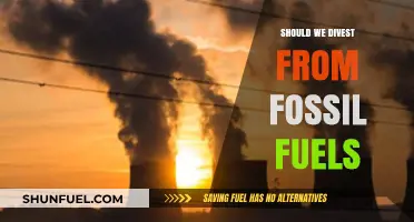 Divesting from Fossil Fuels: A Moral and Financial Imperative?