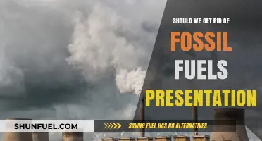 Ending Fossil Fuels: A Necessary Step for a Sustainable Future?