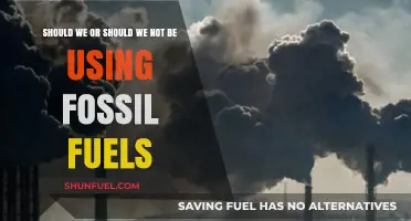 Fossil Fuels: Sustainable Future or Environmental Hazard?