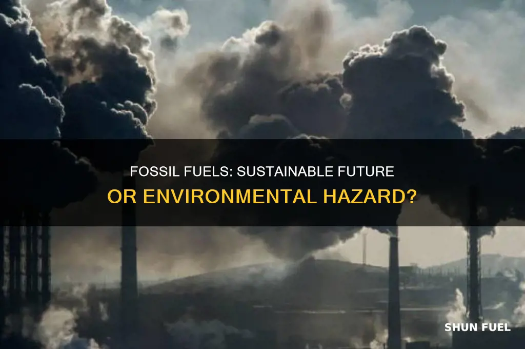 should we or should we not be using fossil fuels