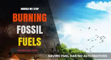 Ending Fossil Fuel Dependence: A Necessary Shift for Our Planet's Future