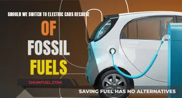 The Future of Cars: Electric or Fossil Fuels?